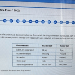 Ap spanish 2020 practice exam 1 mcq