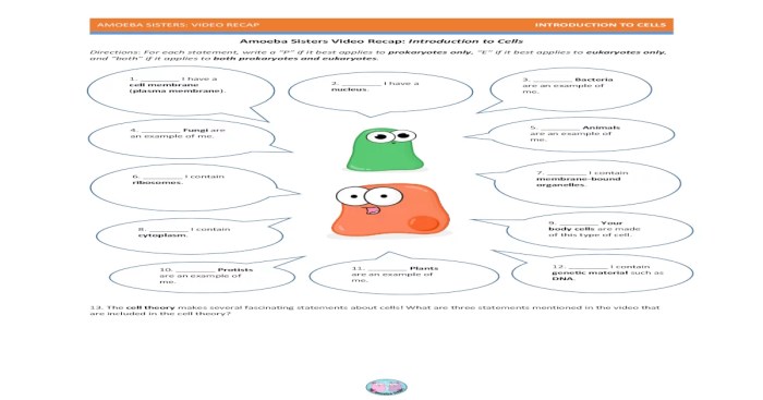 Amoeba sisters introduction to cells answer key