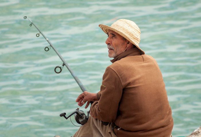 The ocean and forests of new england provided profitable incomes