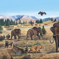 Ice age pleistocene extent era ages glacial maximum years epoch cenozoic were there earth covered many area million ago time