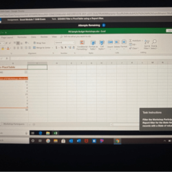 Filter the workshop participants pivottable using the report filter