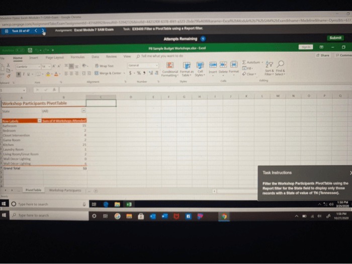 Filter the workshop participants pivottable using the report filter